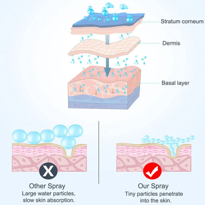 Glammry™ Hydrating Nano Mist Sprayer